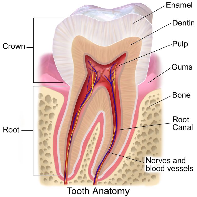 best root canal treatment in pune